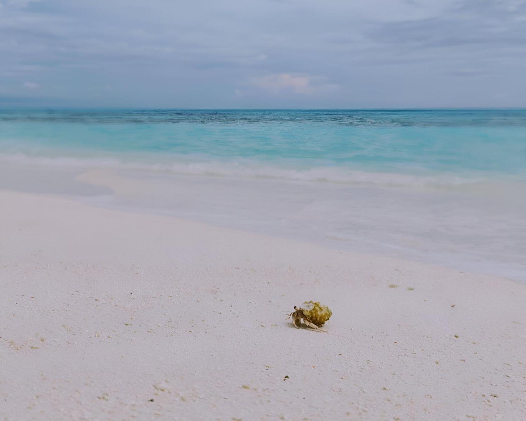 Bougan Villea Retreat Bodufolhudhoo Exterior foto